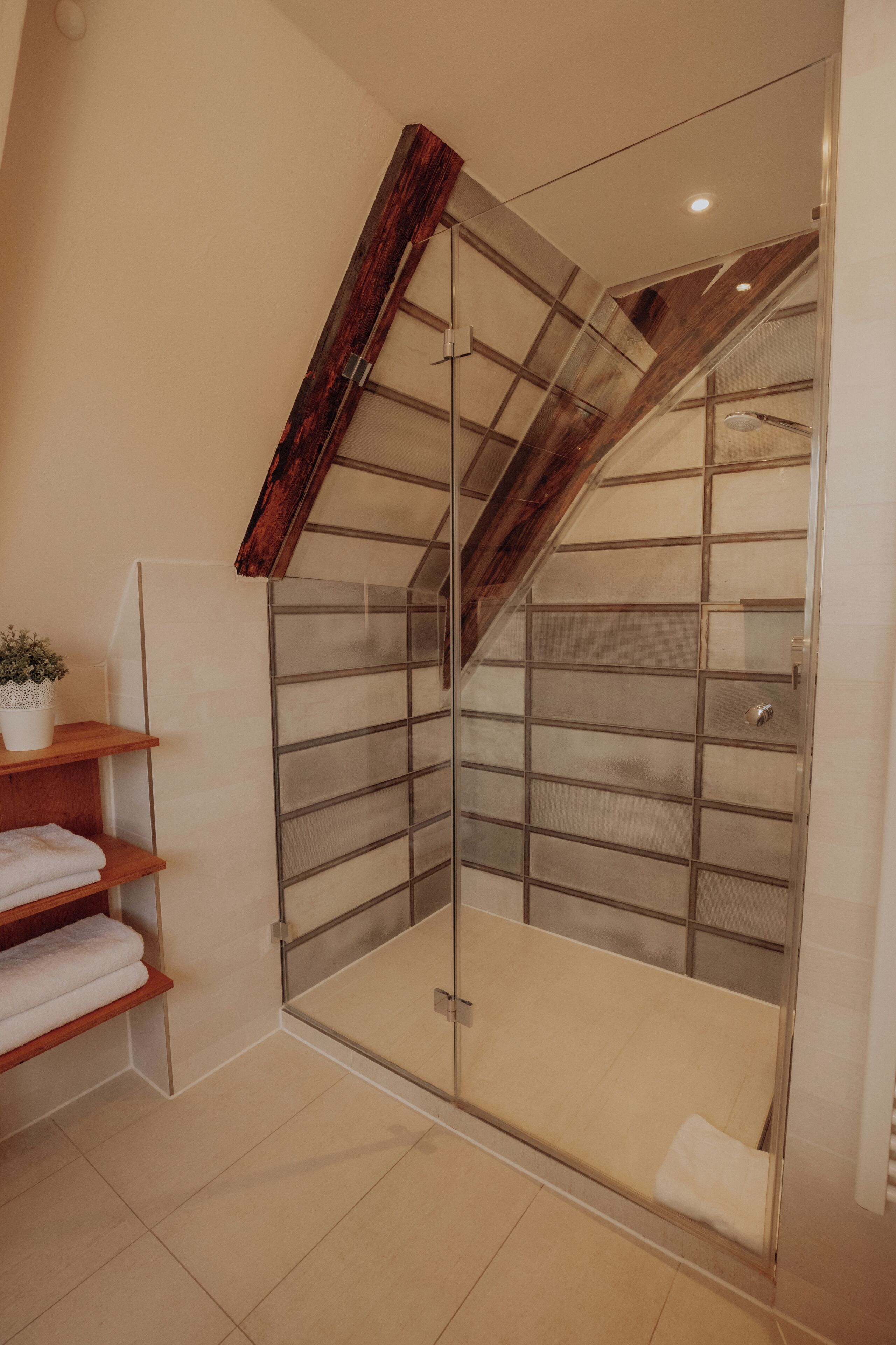 A modern bathroom with a glass shower enclosure, wooden shelves, and a potted plant.