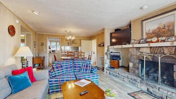 TV, fireplace, DVD player, books