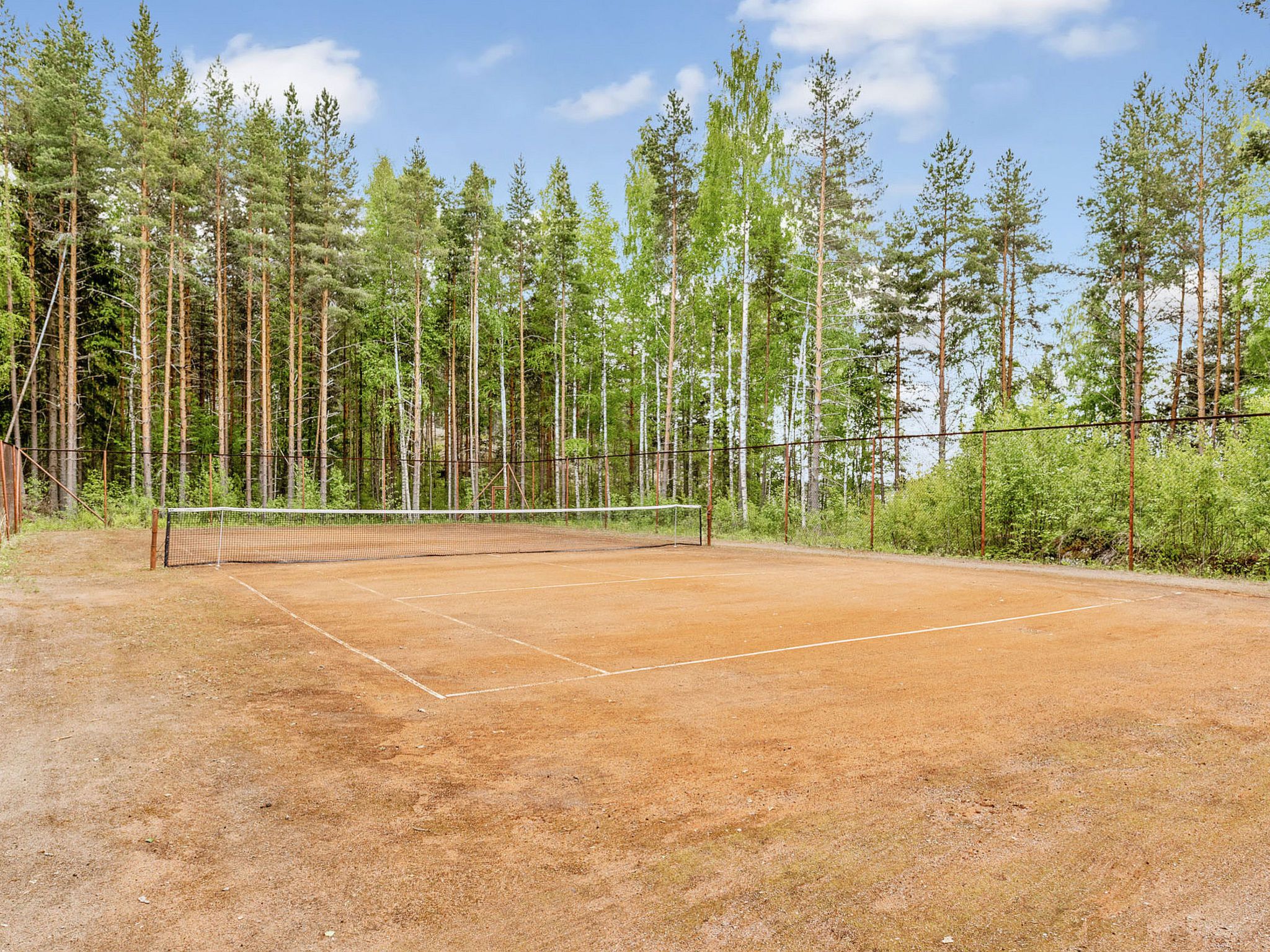 A tennis court surrounded by tall trees.