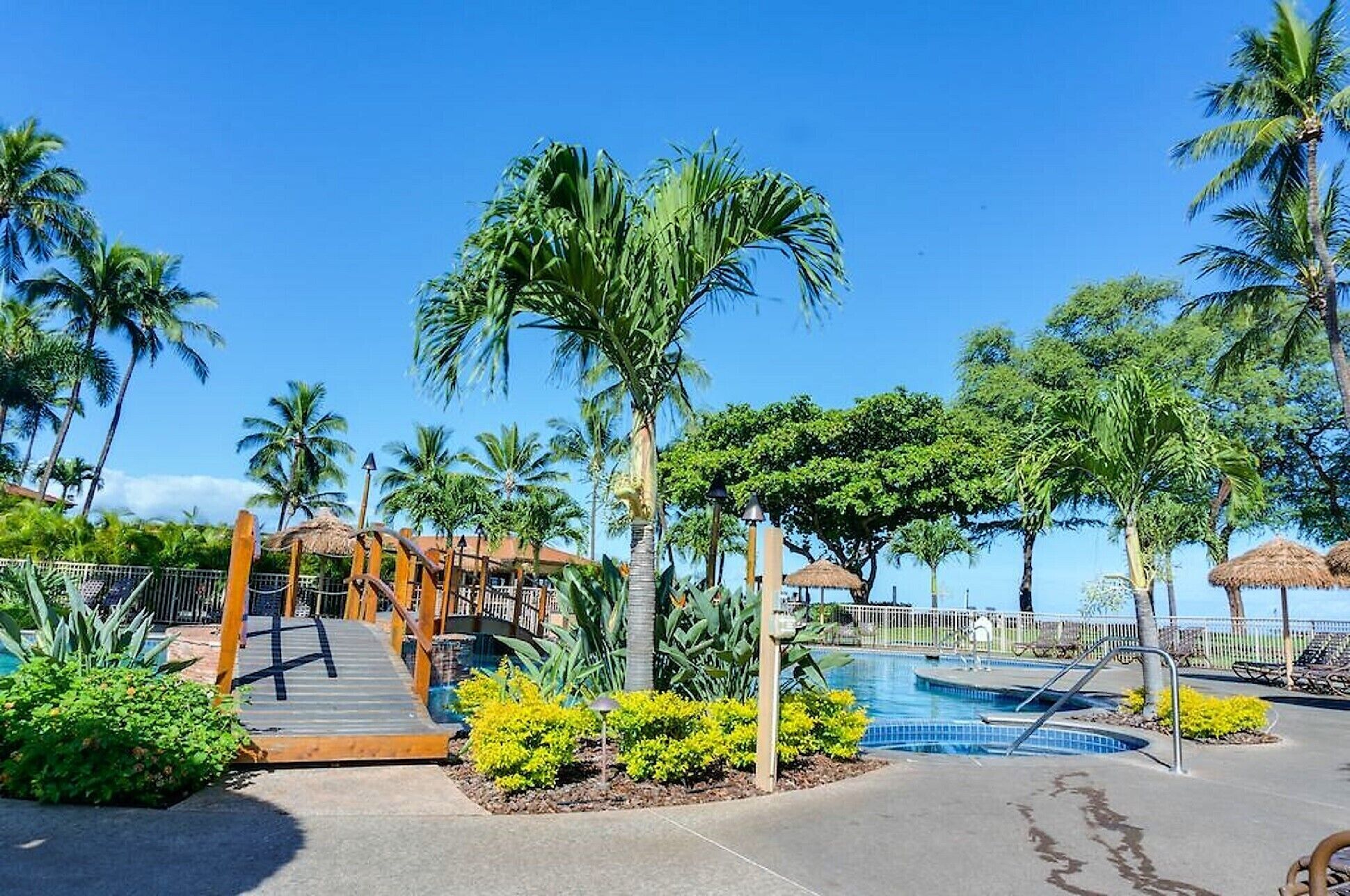A resort pool area with a wooden deck, palm trees, and a clear blue sky.