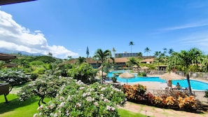 Un resort con piscina rodeada de exuberante vegetación y palmeras.