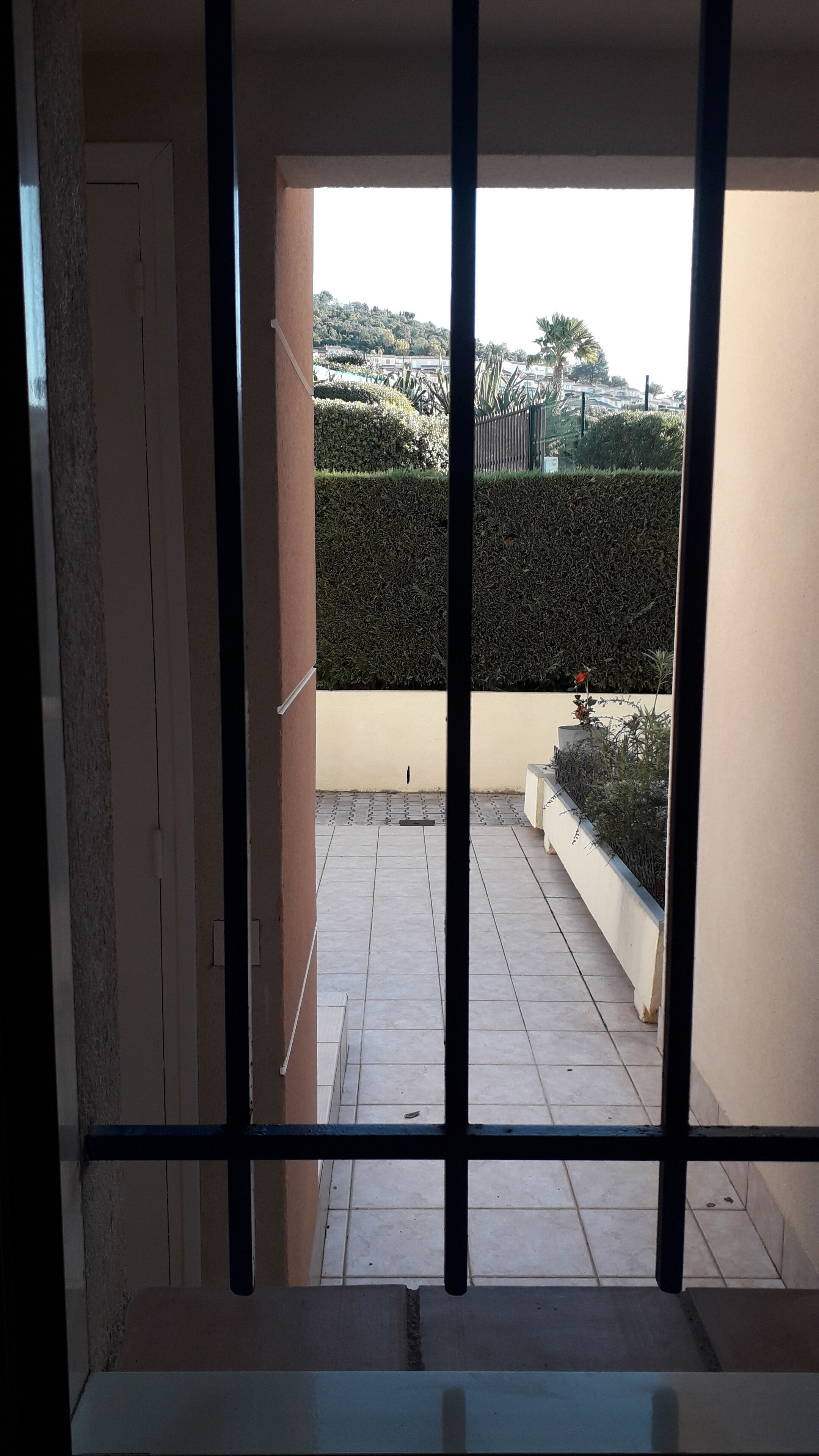 A view through a barred window of a tiled outdoor area with a hedge and a building in the background.