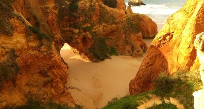 The Birds Nest Luxury B&B