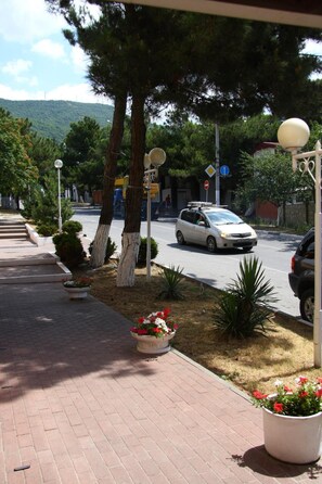 Property grounds - Morskaya zvezda (Gelendzhik)