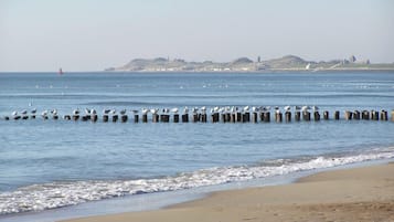 Playa en los alrededores, camastros y toallas de playa