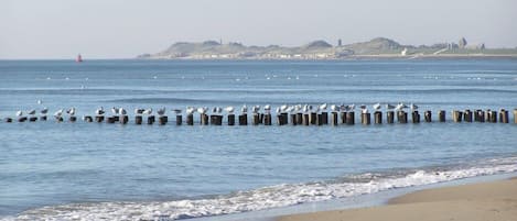 Beach nearby, sun-loungers, beach towels