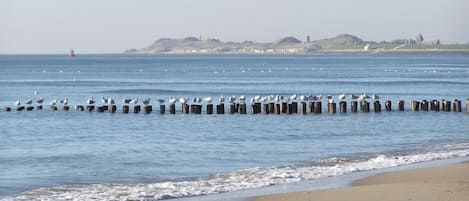 Vlak bij het strand, ligstoelen aan het strand, strandlakens