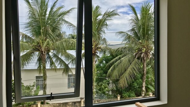A window with a view of palm trees and a building in the background.