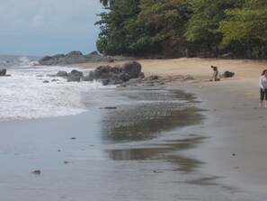 Plage à proximité