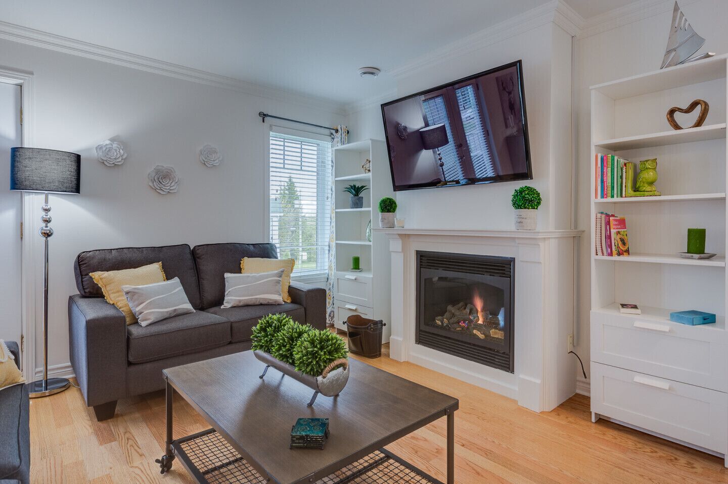 TV, fireplace, DVD player