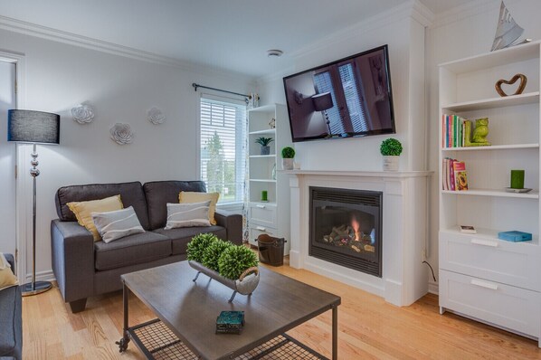 TV, fireplace, DVD player