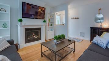 Télévision, cheminée, lecteur de DVD