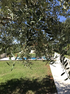 Property grounds - Beautiful, quietly situated vacation home with three apartments and pool (Kukci)