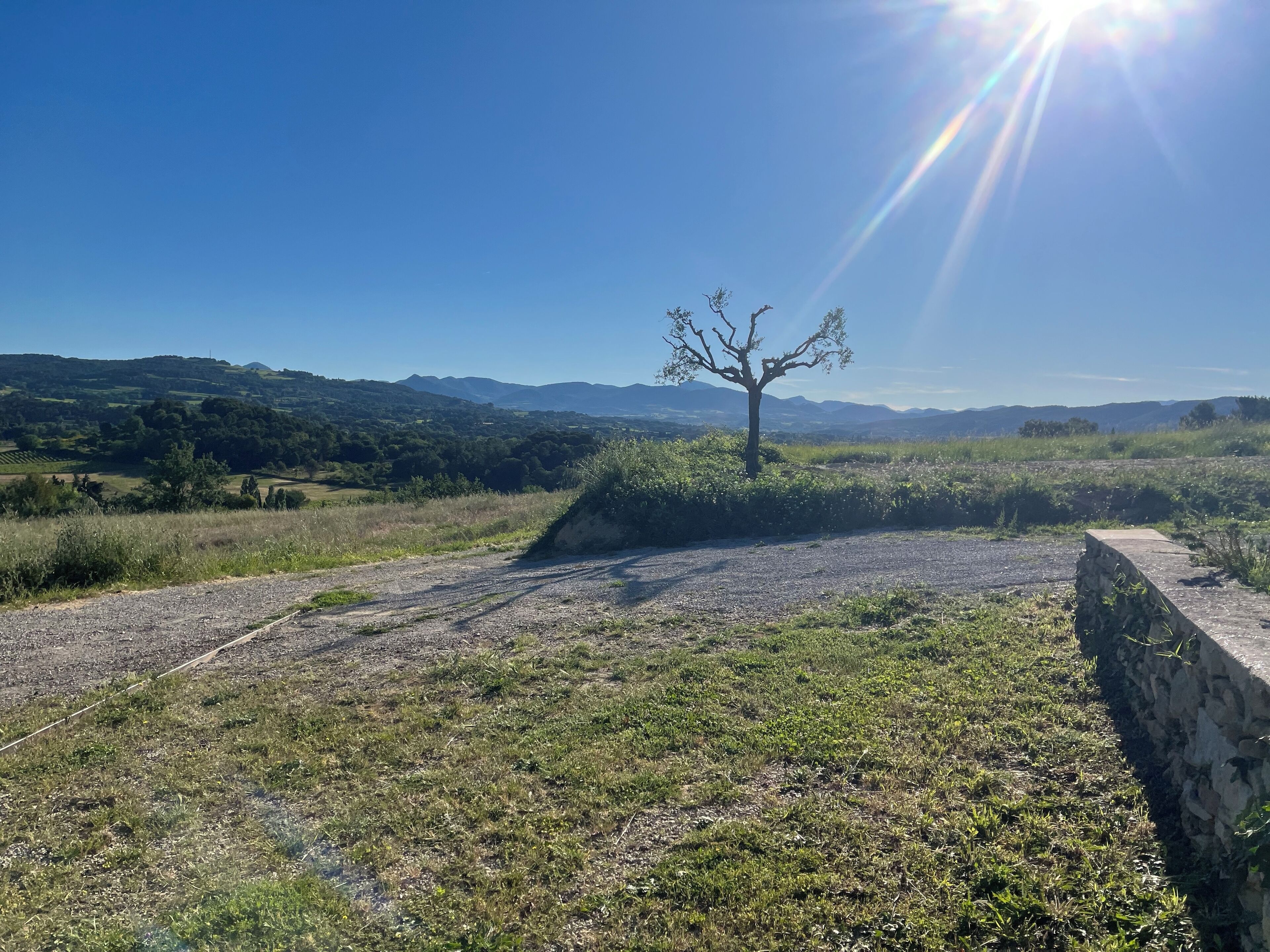A rural landscape with a dirt path, a solitary tree, and distant hills under a clear sky.