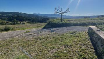 A rural landscape with a dirt path, a solitary tree, and distant hills under a clear sky.