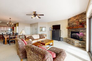 Een televisie, een open haard, een dvd-speler en boeken