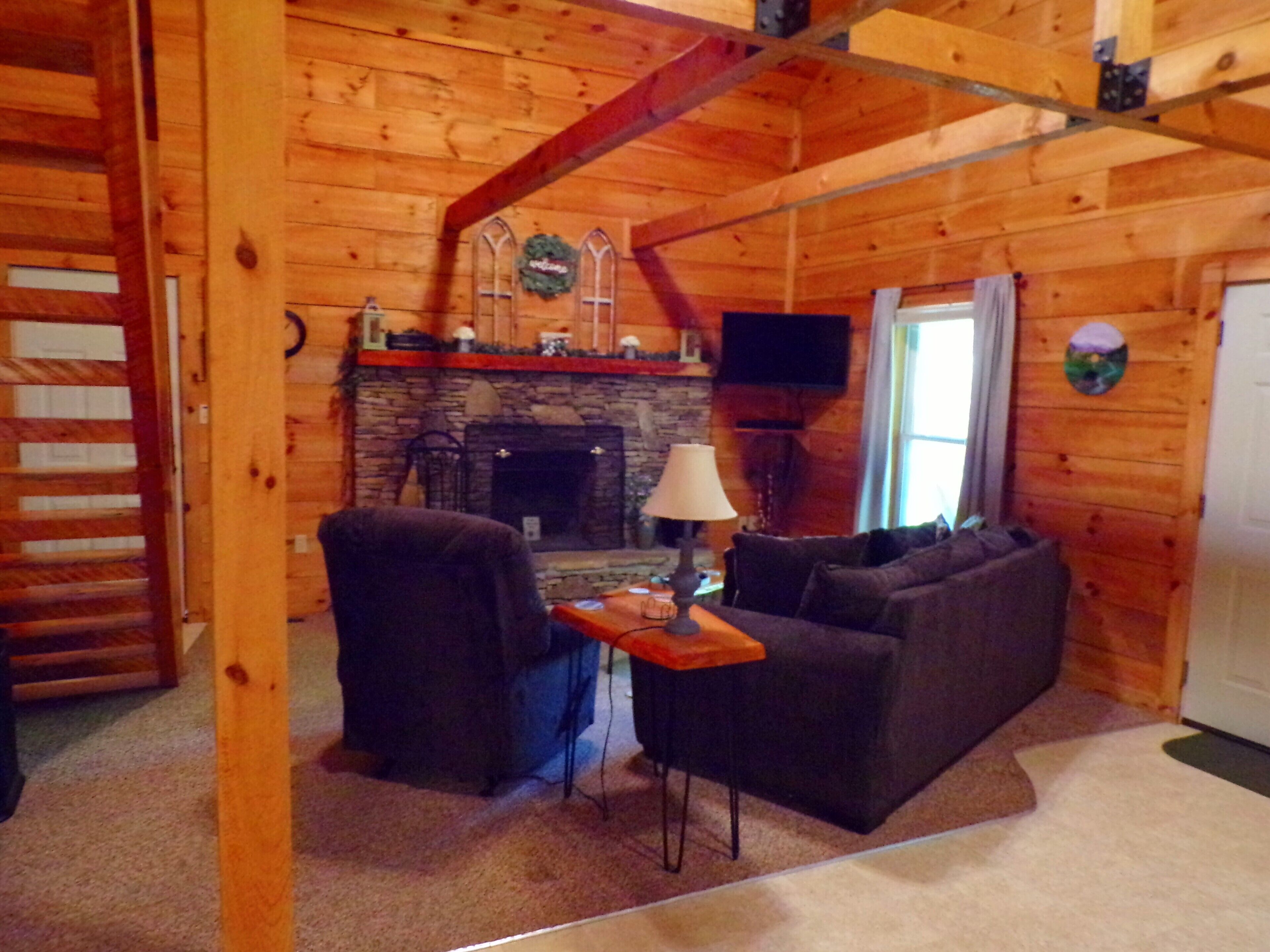 Télévision, cheminée, lecteur de DVD, livres