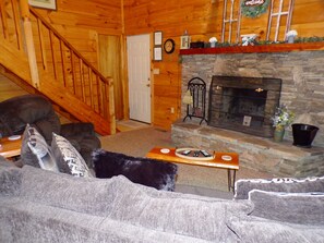 TV, fireplace, DVD player, books - TOTAL PRIVACY & SECLUDED ❤ Romantic Cabin ❤ Near Cades Cove with Hot Tub!  (Townsend)