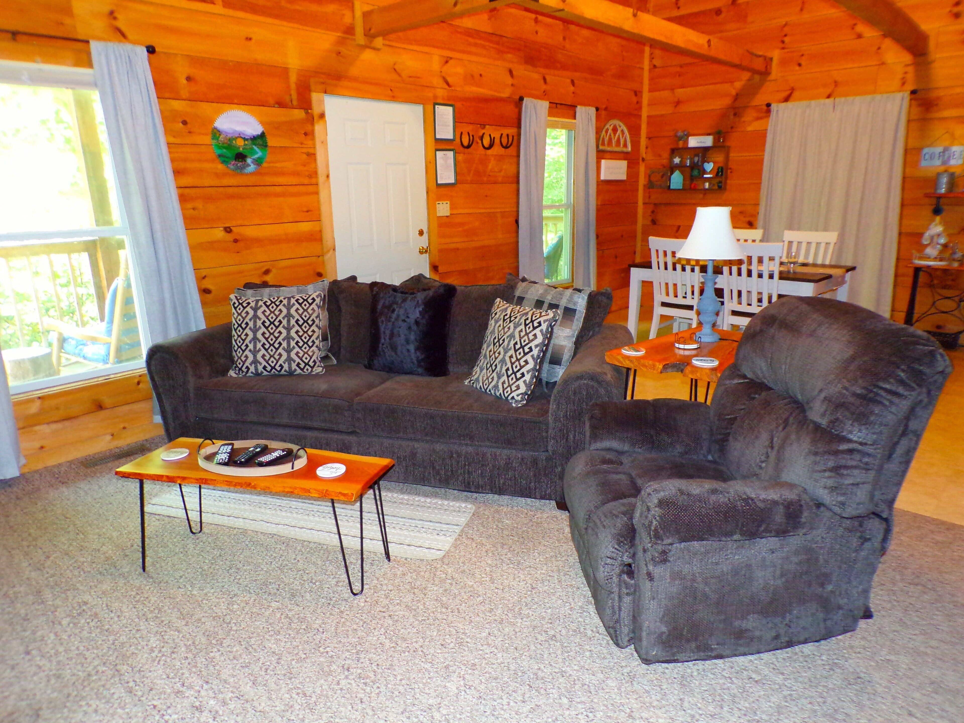 Télévision, cheminée, lecteur de DVD, livres