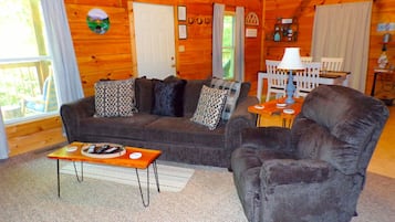 Télévision, cheminée, lecteur de DVD, livres