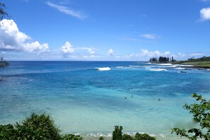 Overlooking the serene coastal waters, this tranquil scene offers breathtaking views of the shoreline.