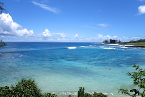 Beach nearby, sun loungers, beach towels