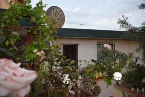 A building with a green roof, a satellite dish, and a garden with roses and other plants. - La Casa  Skikda Jeandarc (Skikda)