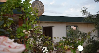 La Casa Skikda Jeandarc