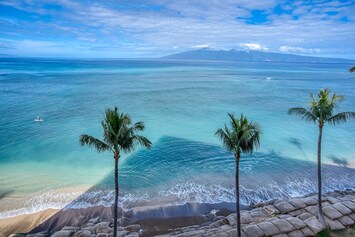 Sea turtles~ dolphins and whale watching right from your lanai.