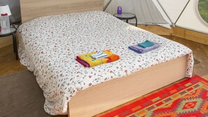 Una carpa con una cama, una mesita y una ventana.