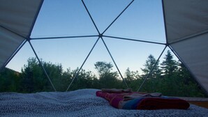 Une tente en forme de dôme géodésique, avec un lit à l’intérieur, entourée d’arbres.