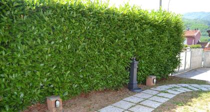 Einfamilienhaus - Mario