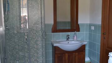 Shower, hair dryer, bidet, towels