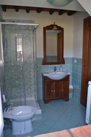 Regadera, secadora de cabello, bidet, toallas 
