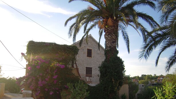 A stone building with a sloped roof, surrounded by lush greenery and a palm tree. - Mala Kapela is an authentic family home (Vrboska)