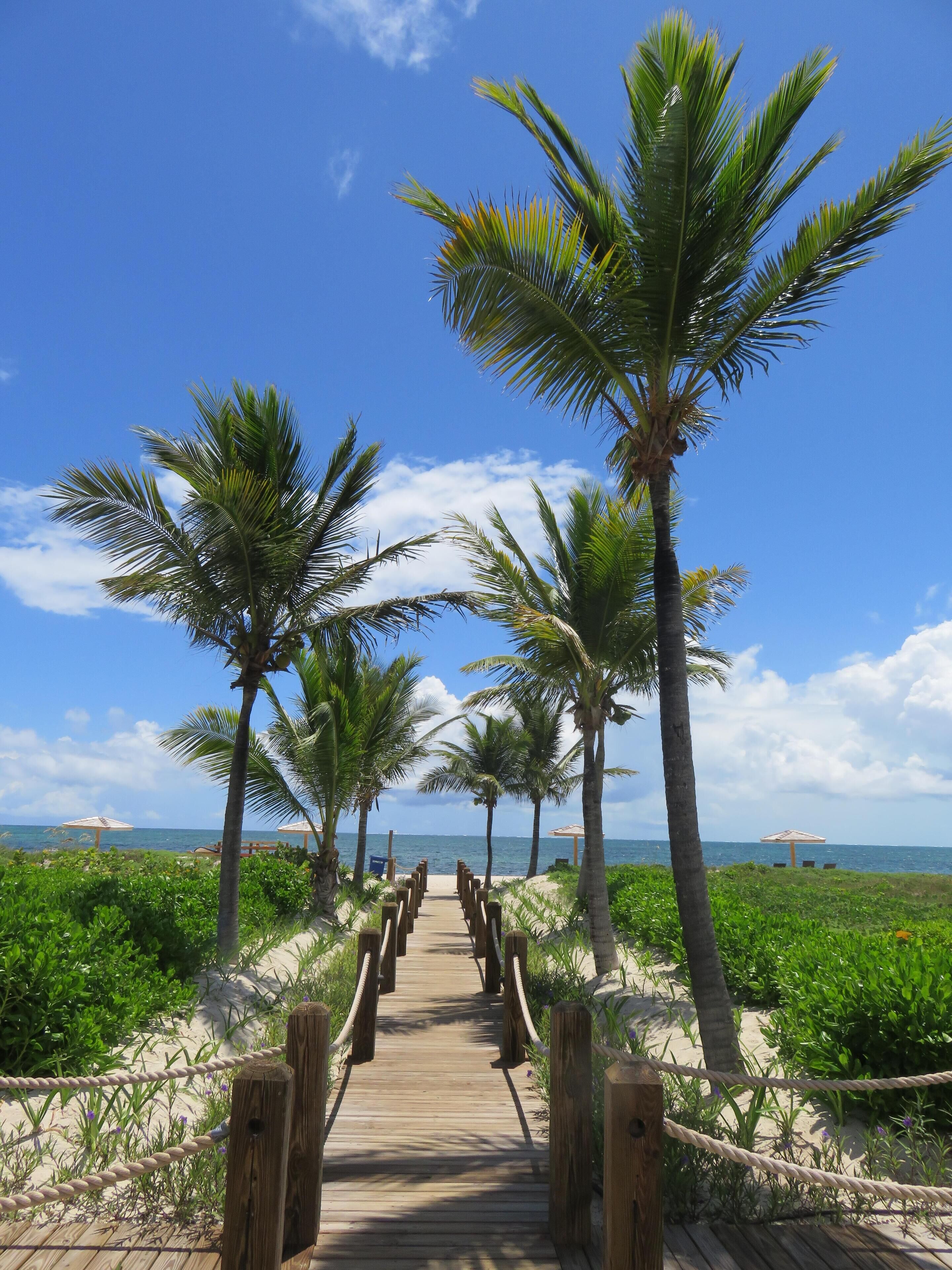 Am Strand, Liegestühle, Strandtücher