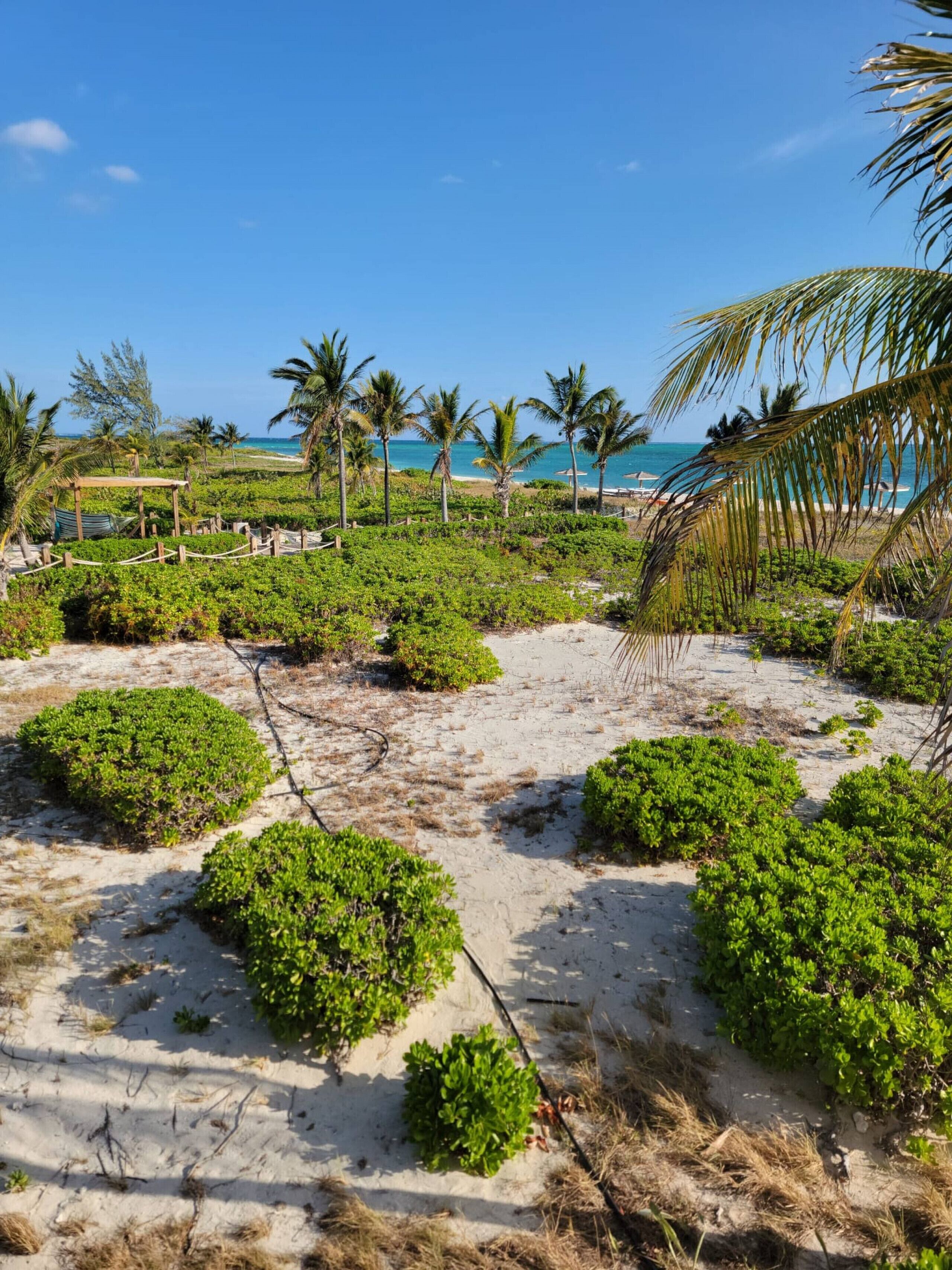 On the beach, sun-loungers, beach towels