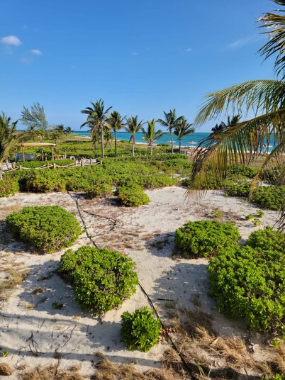 Fall Asleep to Ocean Waves /Beachfront Escape