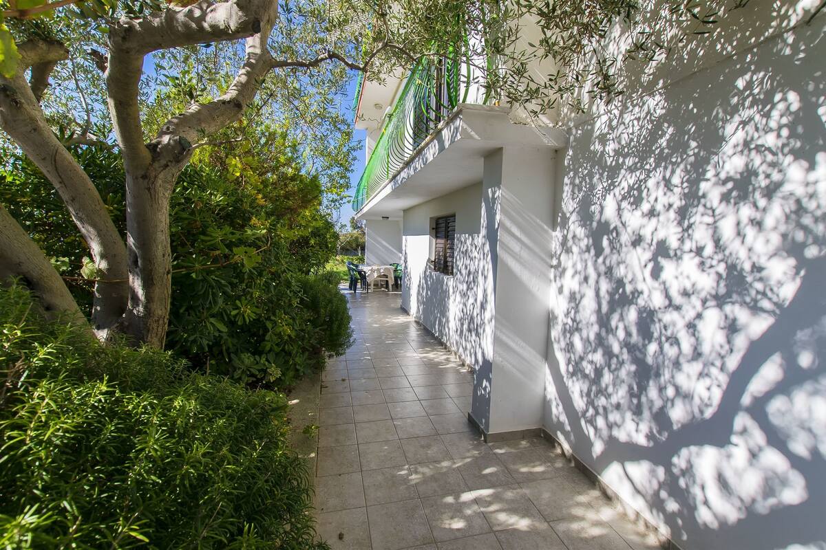A narrow, tree-lined pathway leading to a building with a white exterior and a green balcony.