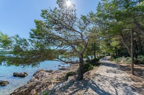 A coastal pathway with a clear view of the sea, surrounded by trees and rocky terrain.