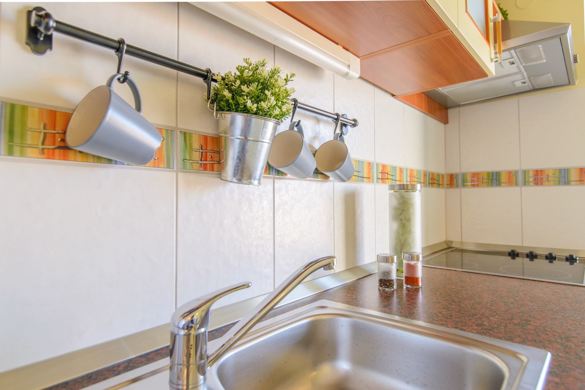 A kitchen with a stainless steel sink, a hanging pot rack with pots and a potted plant, and a colorful backsplash.