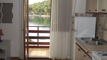 Apartment (A2) | Private kitchen | Fridge, microwave, stovetop, electric kettle