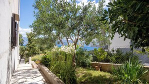 A narrow pathway leading to a garden with various plants and trees, bordered by a low stone wall.