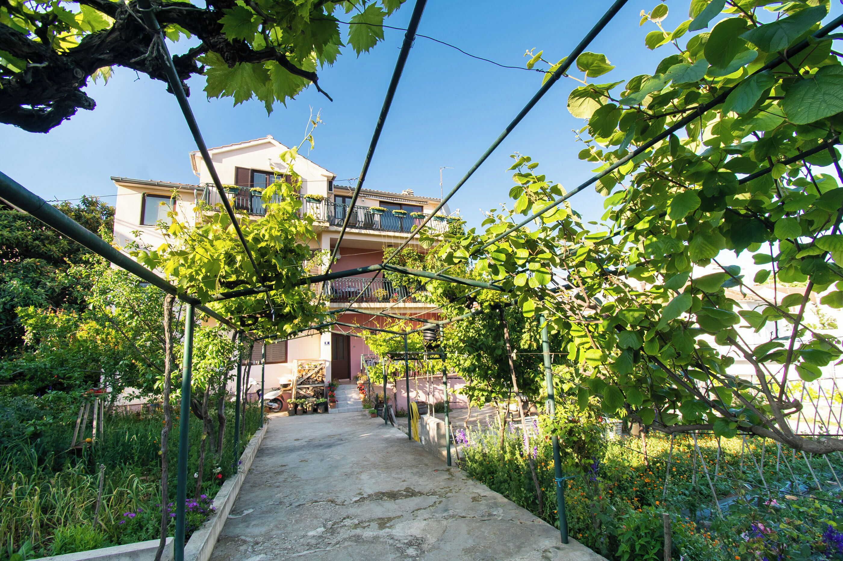 Terrain de l’hébergement 