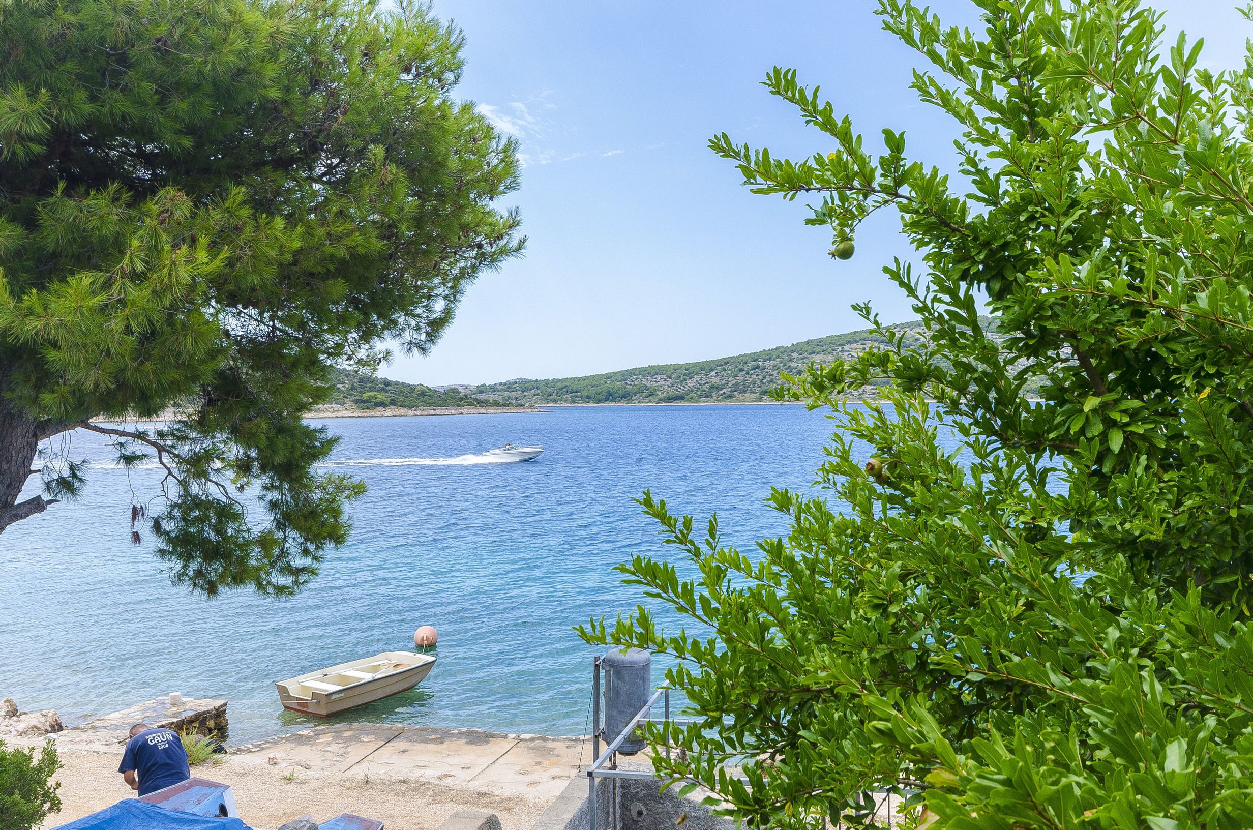 A coastal scene with a boat docked near the shore, surrounded by trees and a clear sky.
