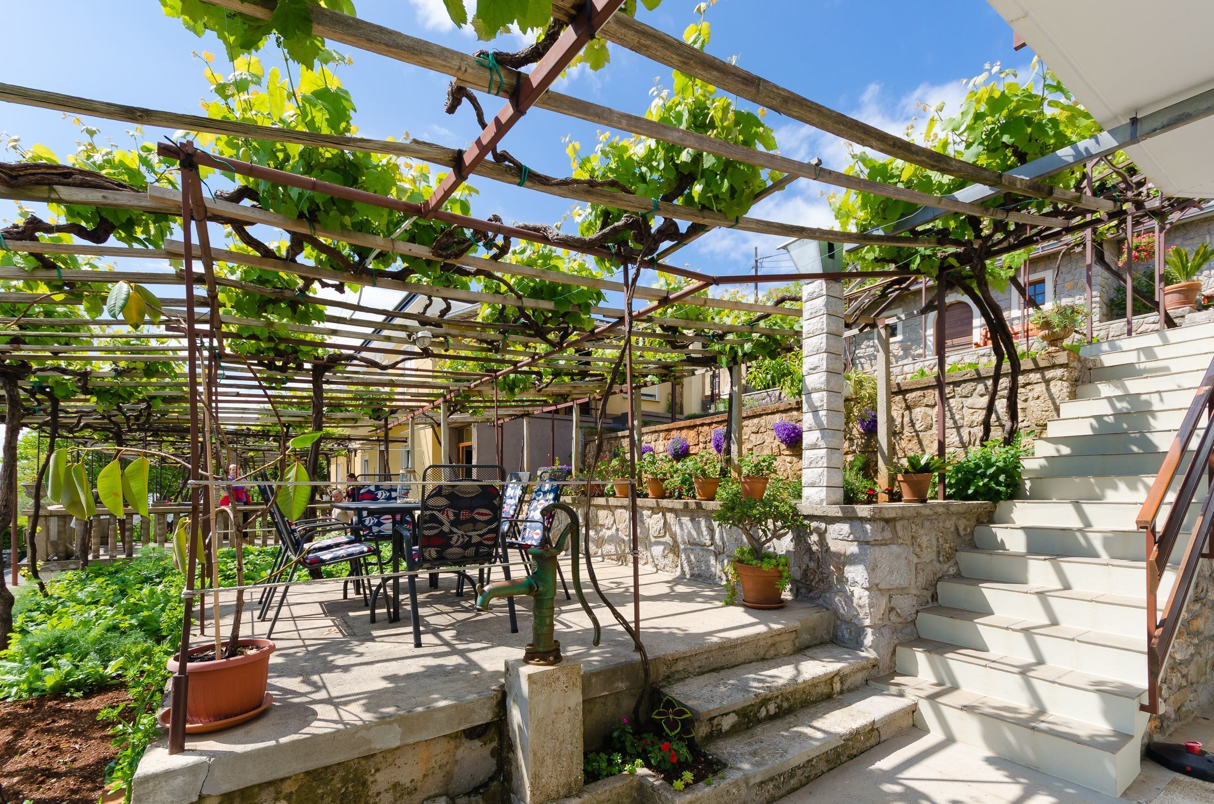 A vineyard with a pergola, stone steps, and a table with chairs.