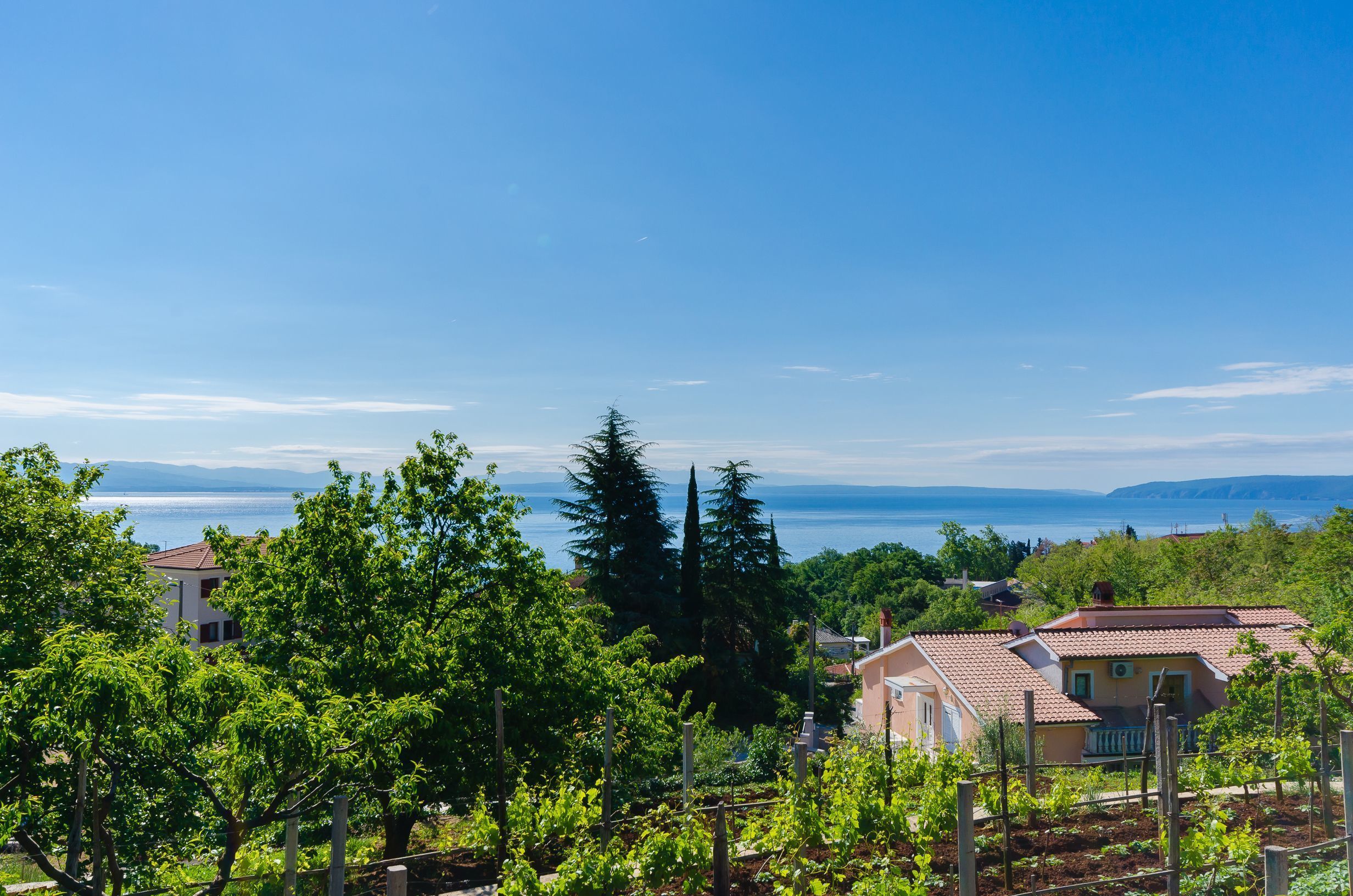 A residential area with houses, trees, and a view of the sea.