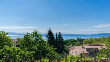 A residential area with houses, trees, and a view of the sea.