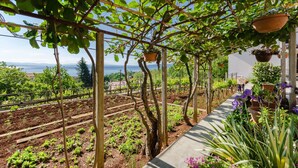 Un jardin agrémenté d’une pergola, de plantes en pot et offrant une vue sur la mer.