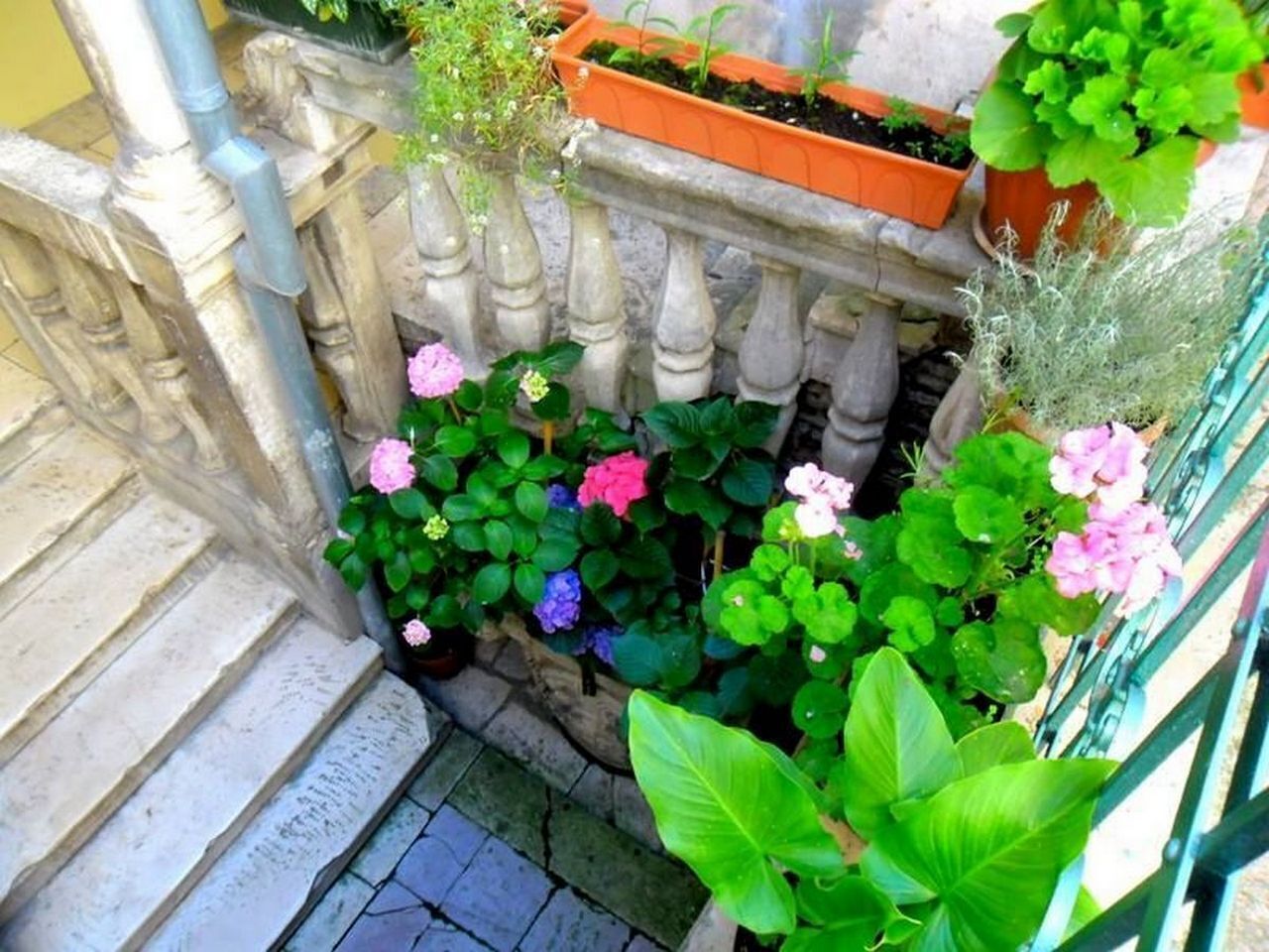 A stone balustrade with potted plants and flowers.